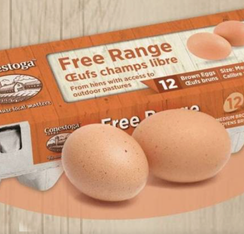 12 Eggs Conestoga Farms Medium Brown Free Range Eggs